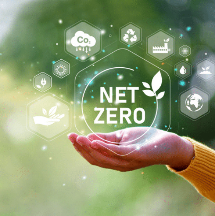 Strategic Steps Toward Net Zero in Hospitality: Beyond Immediate Electrification